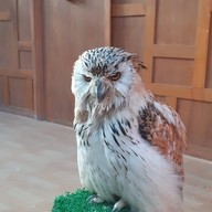 บรรยากาศ Monster Aquarium