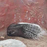 บรรยากาศ Monster Aquarium