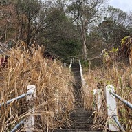 บรรยากาศ ตำหนักพระโพธิสัตว์กวนอิม 84 ปาง เขาเทวดา