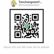 อิจิคุงเมล่อนฟาร์ม