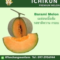 อิจิคุงเมล่อนฟาร์ม