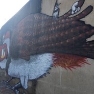Yala bird city street art