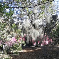 Pink Lake Melbourne