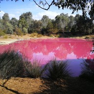 Pink Lake Melbourne