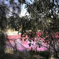 Pink Lake Melbourne