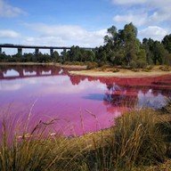 Pink Lake Melbourne