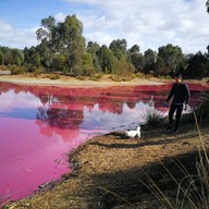 Pink Lake Melbourne