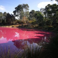 Pink Lake Melbourne