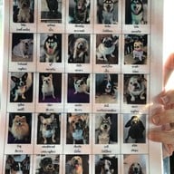 Dog Country Cafe พุทธมณฑลสาย2