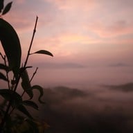 ทะเลหมอกสุคิริน