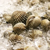 Phi Phi Island Seafood At MAYA MAYA Lifestyle Shopping Center