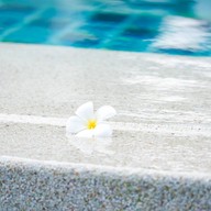 Pool Lounge (The Emerald Cove Koh Chang)