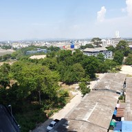 ทีซิกซ์ไฟว์ ฟีนอมินัล