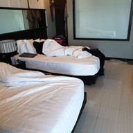 ทีซิกซ์ไฟว์ ฟีนอมินัล