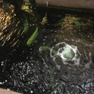 Ananya Cafe มทส. ประตู 4