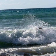 โรงแรมดุสิตธานีลากูน่าภูเก็ต