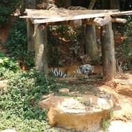 บรรยากาศ สวนสัตว์นครราชสีมา