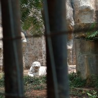 บรรยากาศ สวนสัตว์นครราชสีมา