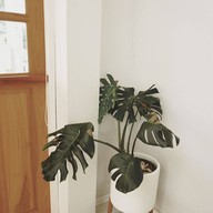 บรรยากาศ Speciality coffee by whitebeam