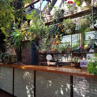 The Ground Of Alexandria Alexandria