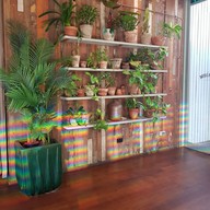 The Ground Of Alexandria Alexandria