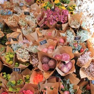 The Ground Of Alexandria Alexandria