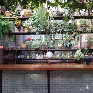 The Ground Of Alexandria Alexandria