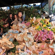 The Ground Of Alexandria Alexandria