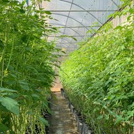 จันทน์กระจ่างฟ้า โฮมสเตย์