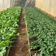 จันทน์กระจ่างฟ้า โฮมสเตย์