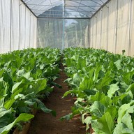 จันทน์กระจ่างฟ้า โฮมสเตย์