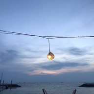 Tree@Sea