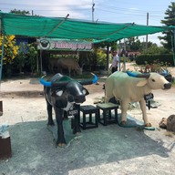 บรรยากาศ กินติม ดูควาย