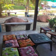 บรรยากาศ กินติม ดูควาย