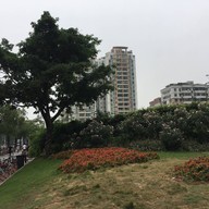 Canton Tower Wharf 广州塔码头