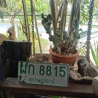 ครัวคนคอน