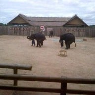 Huahin Safari & Adventure Park