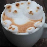 Teddy Bike CAFE