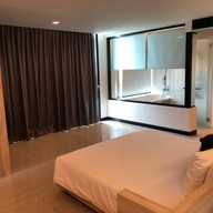 ทีซิกซ์ไฟว์ ฟีนอมินัล