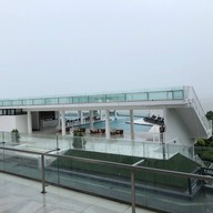 ทีซิกซ์ไฟว์ ฟีนอมินัล