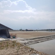 บรรยากาศ Siri Cafe