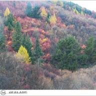 บรรยากาศ Arrowtown