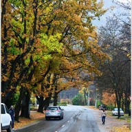 บรรยากาศ Arrowtown