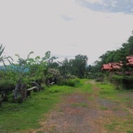 บ้านไร่ภูไพลิน