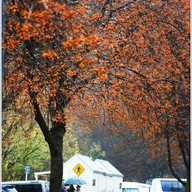 บรรยากาศ Arrowtown