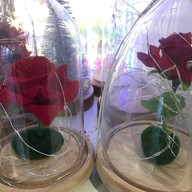 Onelink International Plaza