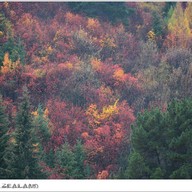 บรรยากาศ Arrowtown