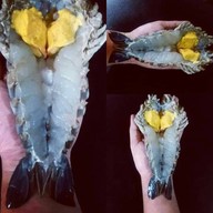 กุ้งแม่น้ำเผาเดลิเวอรี่24ชั่วโมง รามคำแหง.มีนบุรี.รามอินทรา.เสรีไทย.ร่มเกล้า