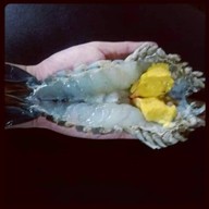 กุ้งแม่น้ำเผาเดลิเวอรี่24ชั่วโมง รามคำแหง.มีนบุรี.รามอินทรา.เสรีไทย.ร่มเกล้า