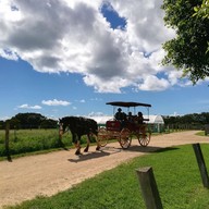 บรรยากาศ The Farm